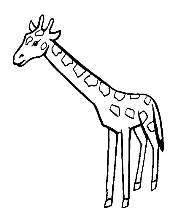 Giraffe se tenant majestueusement dans son habitat naturel