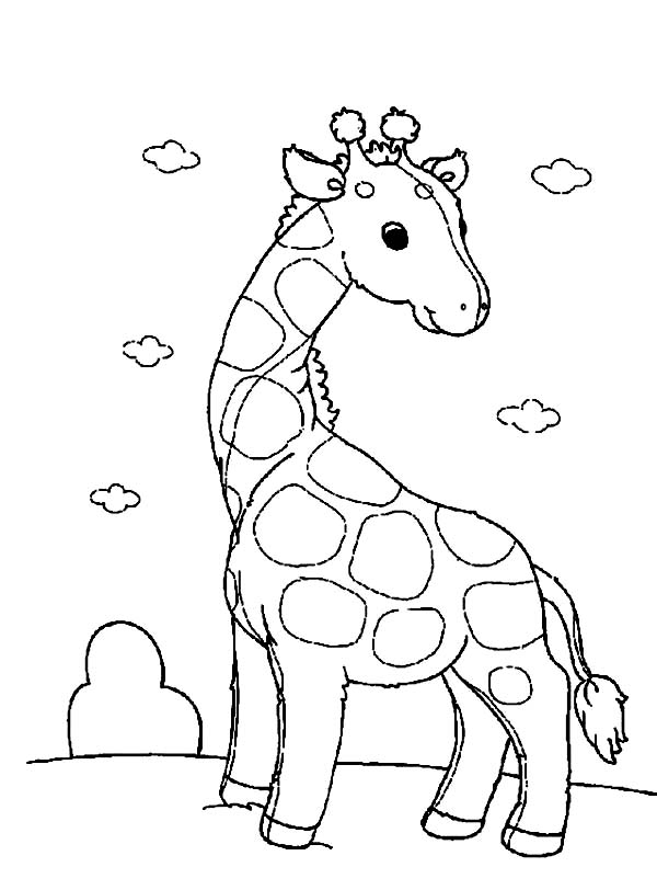 Coloriage d'une girafe dans un environnement naturel