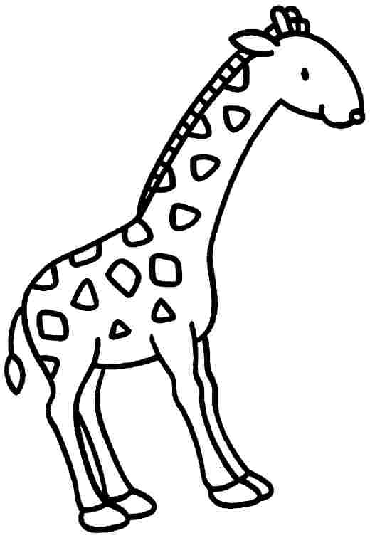 Coloriage d'une girafe au long cou dans un paysage naturel