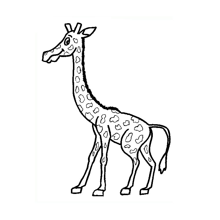 Coloriage d'une girafe se tenant debout dans la savane