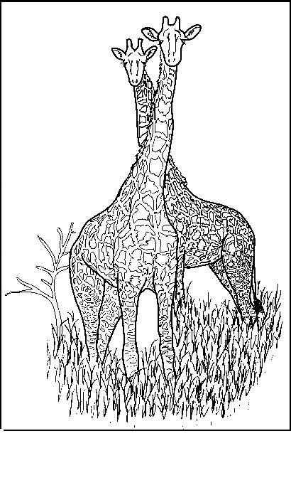 Coloriage d'une girafe sous un arbre dans la savane