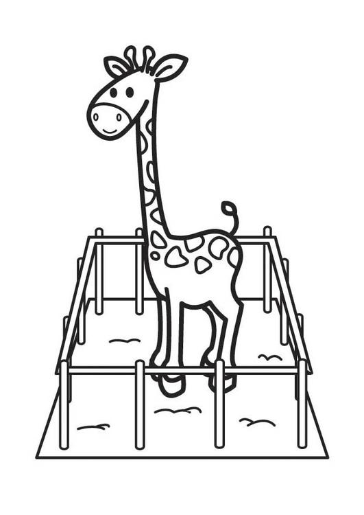 Coloriage d'une girafe dans son habitat naturel Coloriage d'une girafe dans son habitat naturel