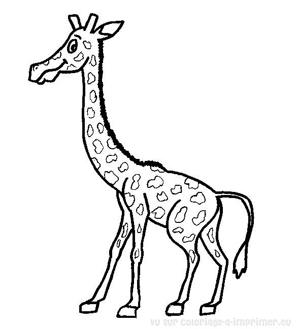 Girafe majestueuse dans un paysage naturel