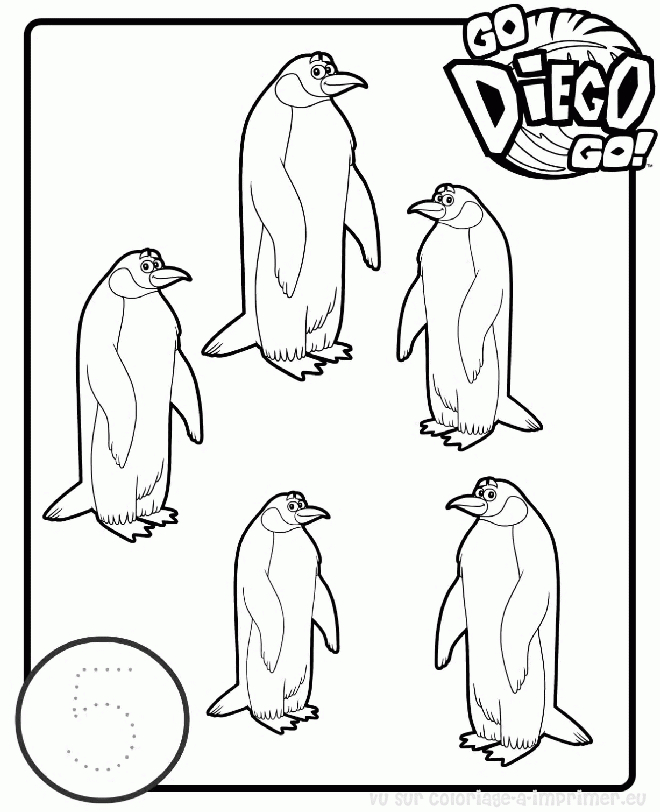 Go Diego ! en pleine aventure avec des animaux Go Diego ! en pleine aventure avec des animaux