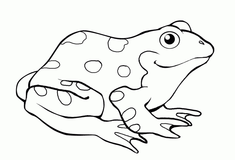 Coloriage d'une grenouille sur une feuille de nénuphar entourée de roseaux