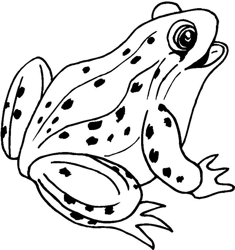 Coloriage d'une grenouille sur une feuille de nénuphar