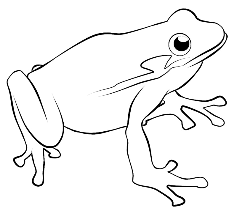 Coloriage d'une grenouille assise sur une feuille de nénuphar