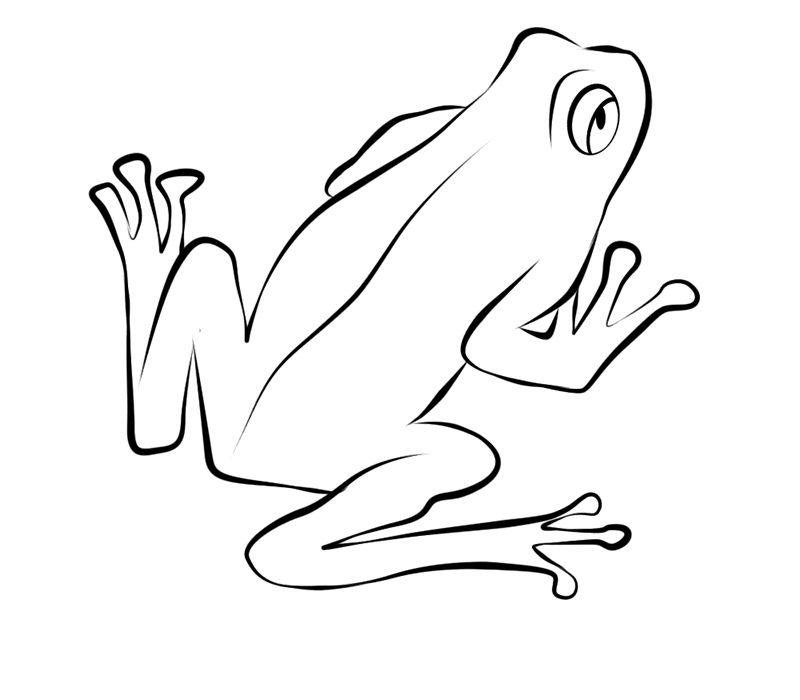 Coloriage d'une grenouille sur un nénuphar dans un environnement aquatique