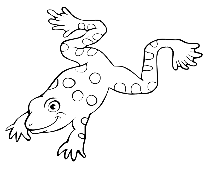 Coloriage d'une grenouille assise sur une feuille de nénuphar Coloriage d'une grenouille assise sur une feuille de nénuphar