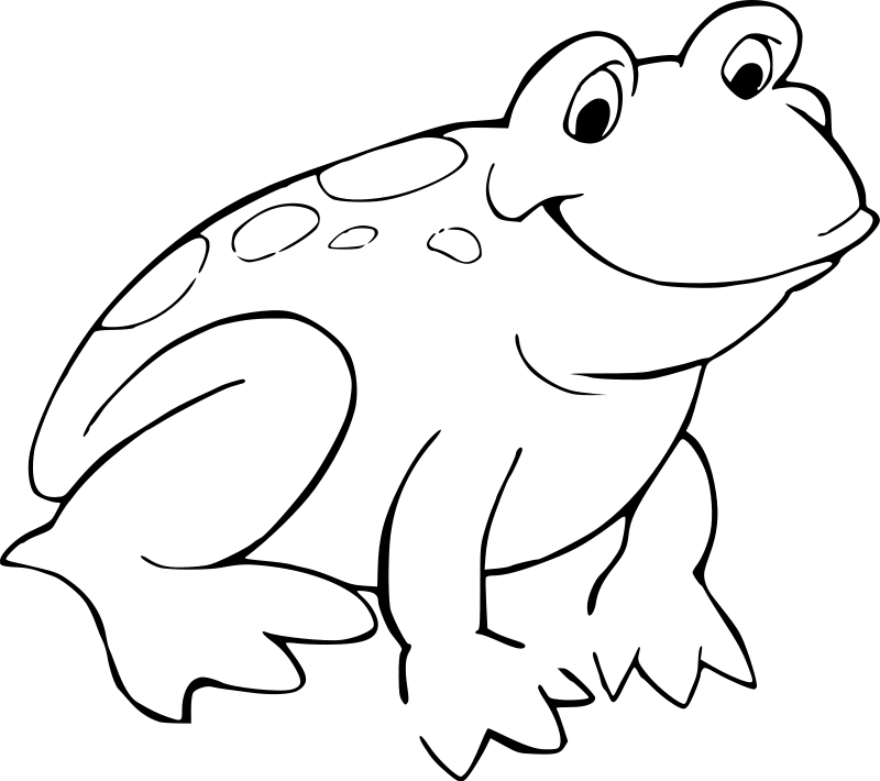 Coloriage d'une grenouille joyeuse sur un nénuphar