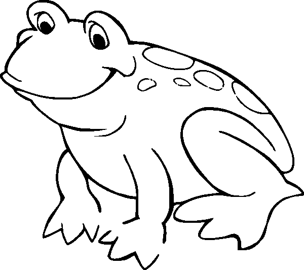 Une grenouille joyeuse sur un nénuphar au bord d'un étang