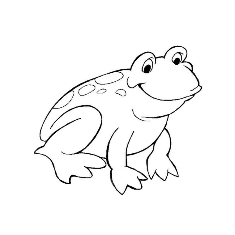 Coloriage d'une grenouille sur une feuille de nénuphar dans un environnement aquatique