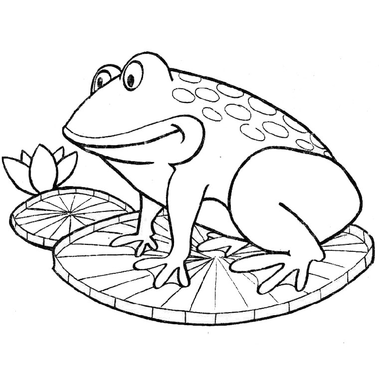 Coloriage d'une grenouille assise sur un nénuphar dans un étang