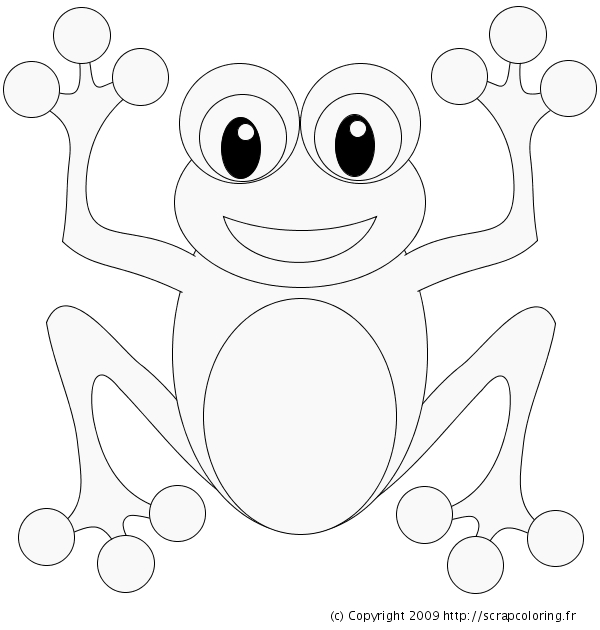 Coloriage d'une grenouille sur un nénuphar au bord d'un étang