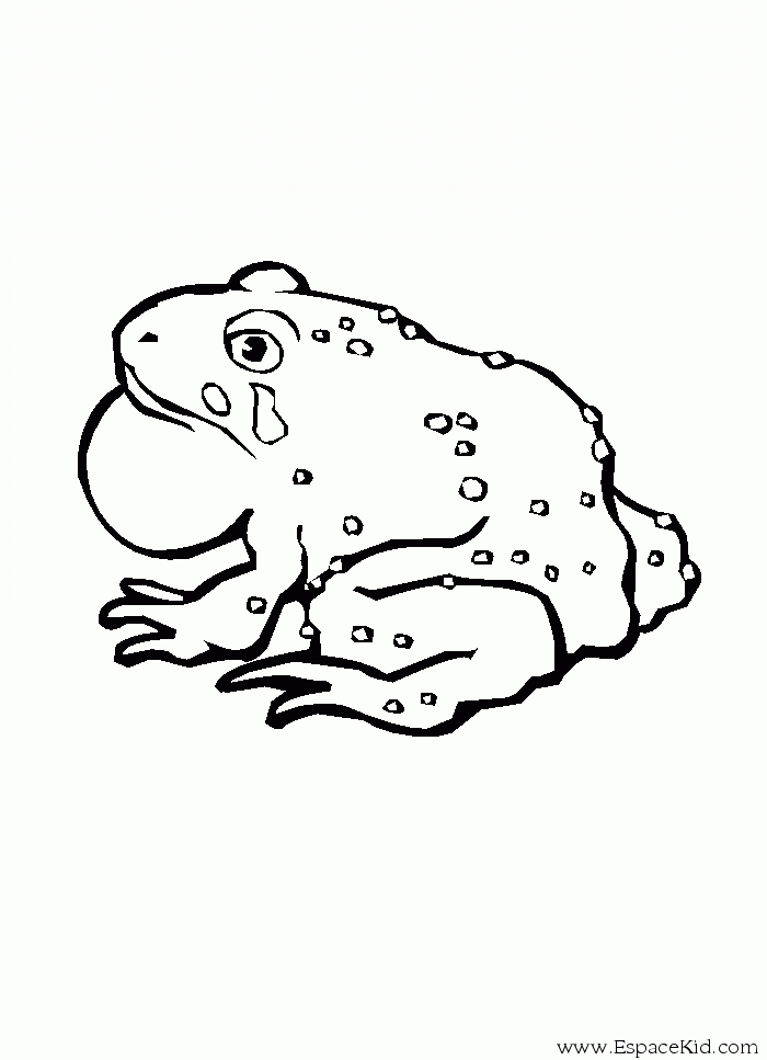 Coloriage d'une grenouille assise sur une feuille dans un environnement aquatique
