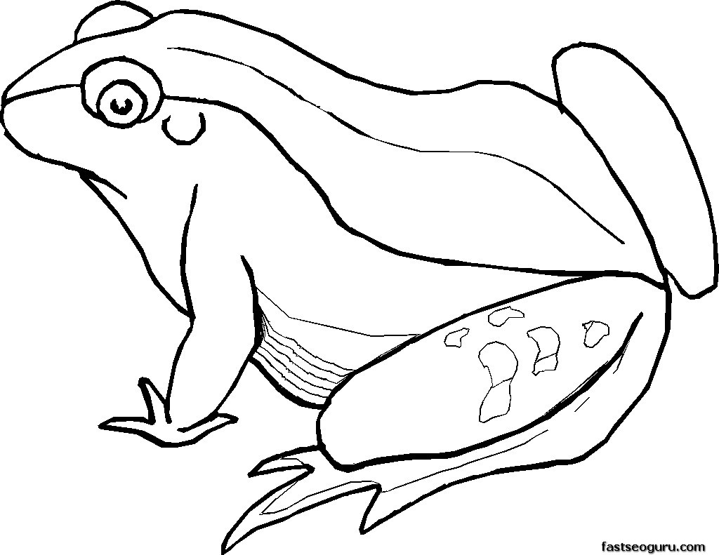 Coloriage d'une grenouille sur une feuille de nénuphar