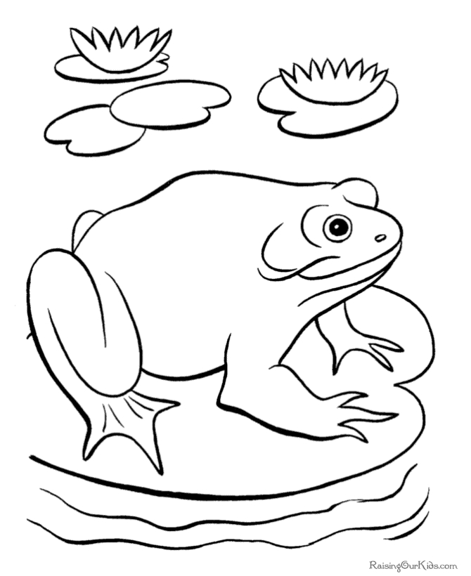 Coloriage d'une grenouille assise sur une feuille de nénuphar