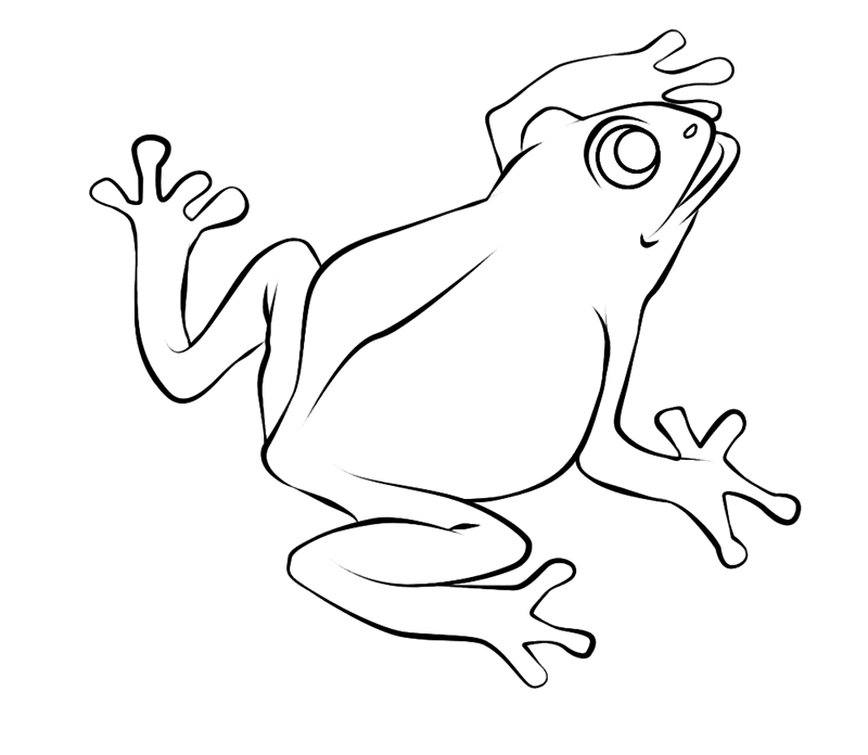 Coloriage d'une grenouille sur une feuille à la surface de l'eau