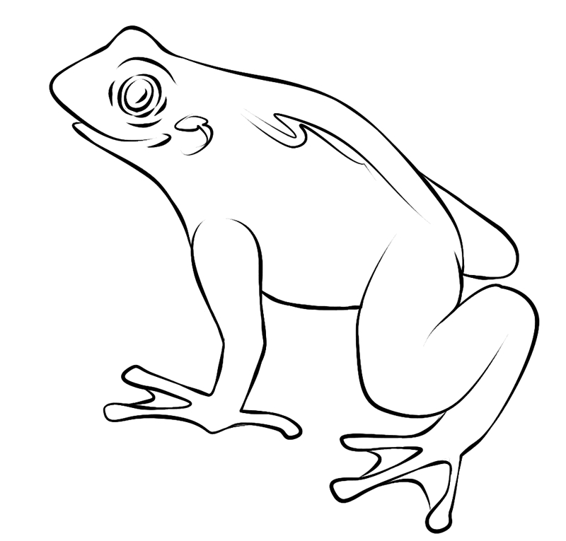 Coloriage d'une grenouille sur une feuille de nénuphar dans un environnement aquatique