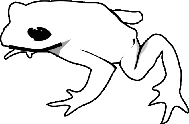 Coloriage d'une grenouille assise sur un nénuphar dans un étang Coloriage d'une grenouille assise sur un nénuphar dans un étang