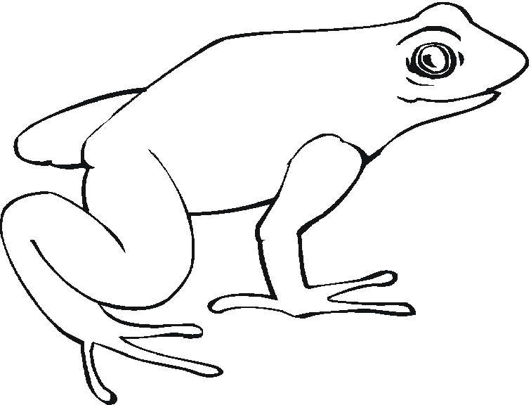 Coloriage d'une grenouille sur un nénuphar au bord d'une mare