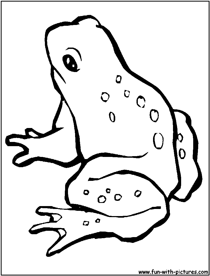 Coloriage d'une grenouille sur une feuille de nénuphar dans un environnement naturel