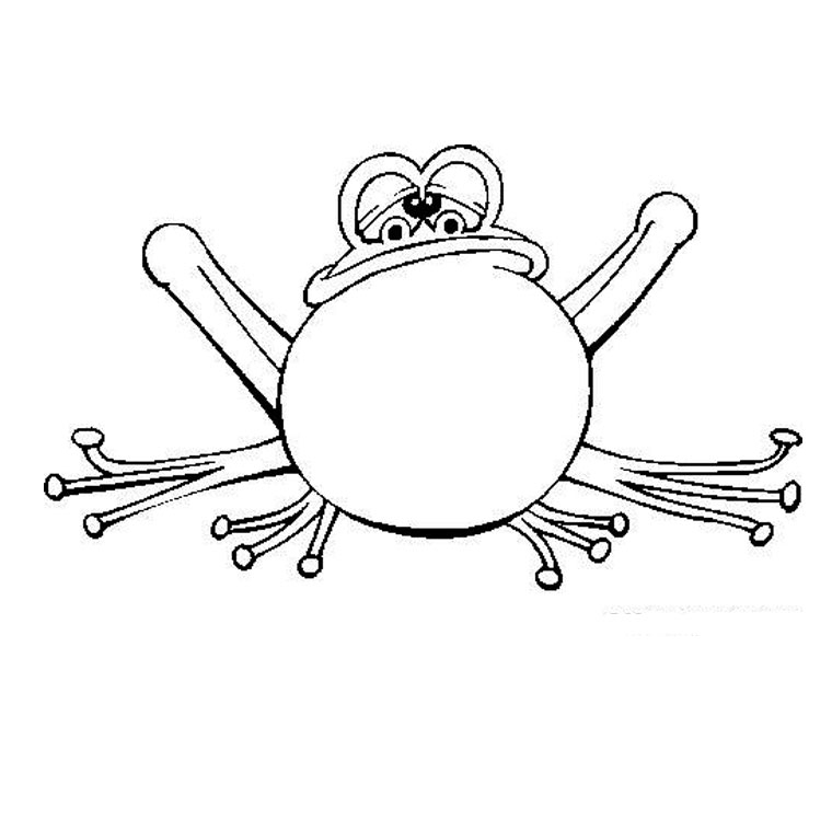 Coloriage d’une grenouille épanouie sur un nénuphar dans un environnement naturel