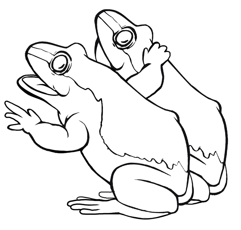 Coloriage d'une grenouille assise sur une feuille de nénuphar au bord d'un étang