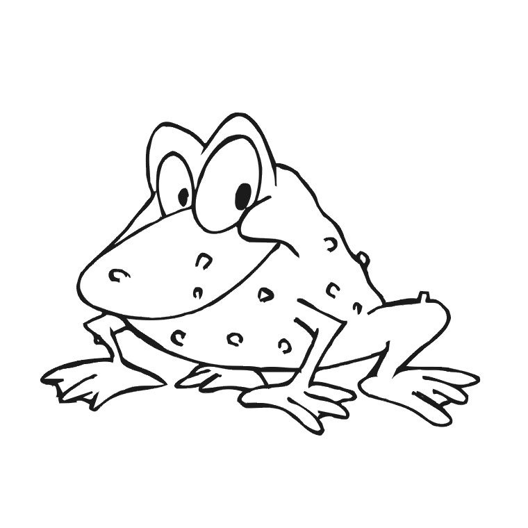 Coloriage d'une grenouille assise sur un nénuphar au bord d'un étang