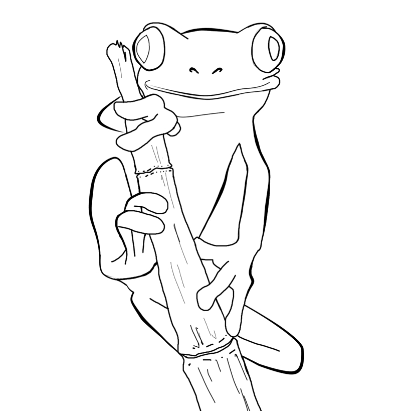 Coloriage d'une grenouille sur une feuille de nénuphar dans un décor aquatique