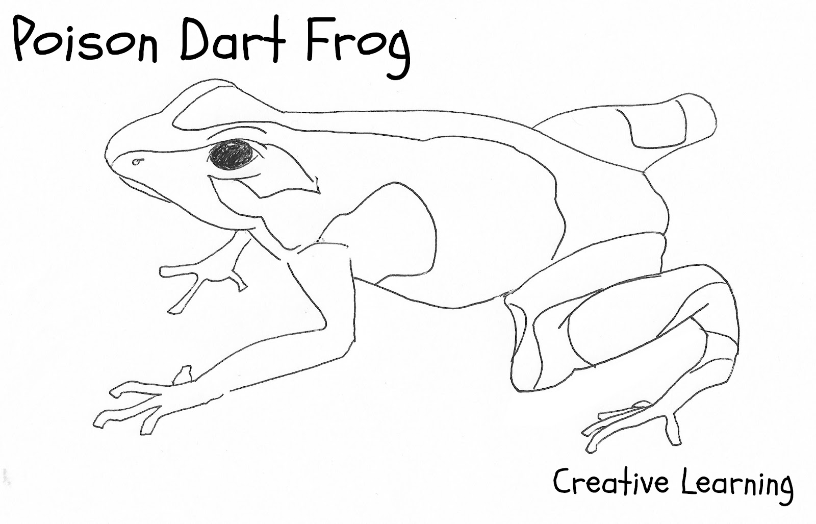 Coloriage d'une grenouille sur une feuille de nénuphar dans un environnement aquatique