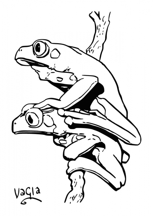 Coloriage d'une grenouille assise sur une feuille de nénuphar