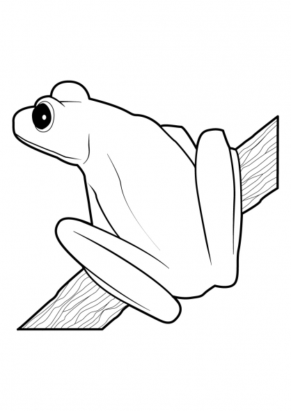Coloriage d'une grenouille sur une feuille de nénuphar dans un environnement aquatique
