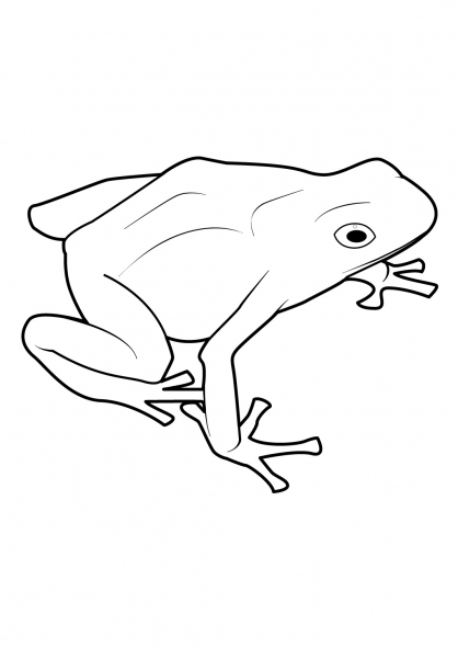 Coloriage d'une grenouille joyeuse sur une feuille de nénuphar