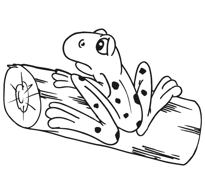 Coloriage d'une grenouille assise sur une feuille au bord de l'eau