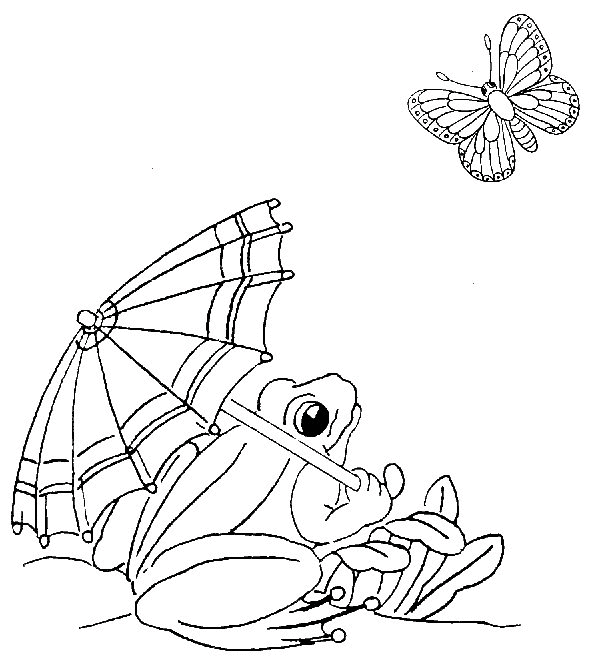 Coloriage d'une grenouille assise sur un nénuphar dans un environnement naturel
