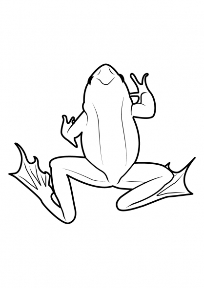 Coloriage d'une grenouille assise sur une feuille de nénuphar dans un étang