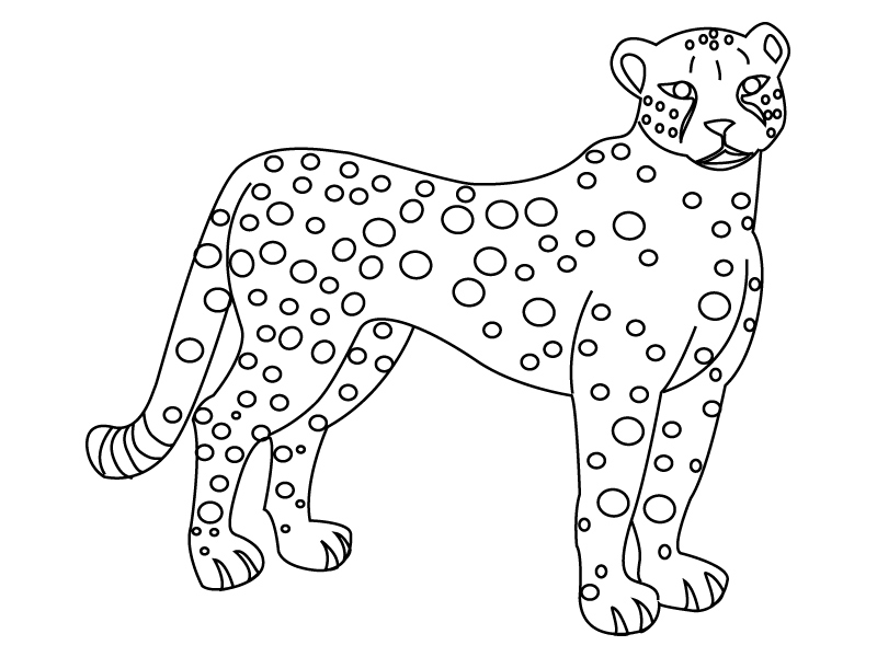 Coloriage d'un guépard en position de course dans la savane