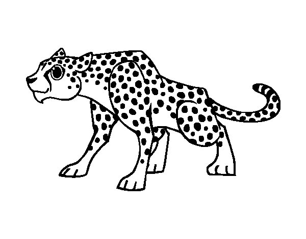 Un guépard en pleine course dans la savane africaine