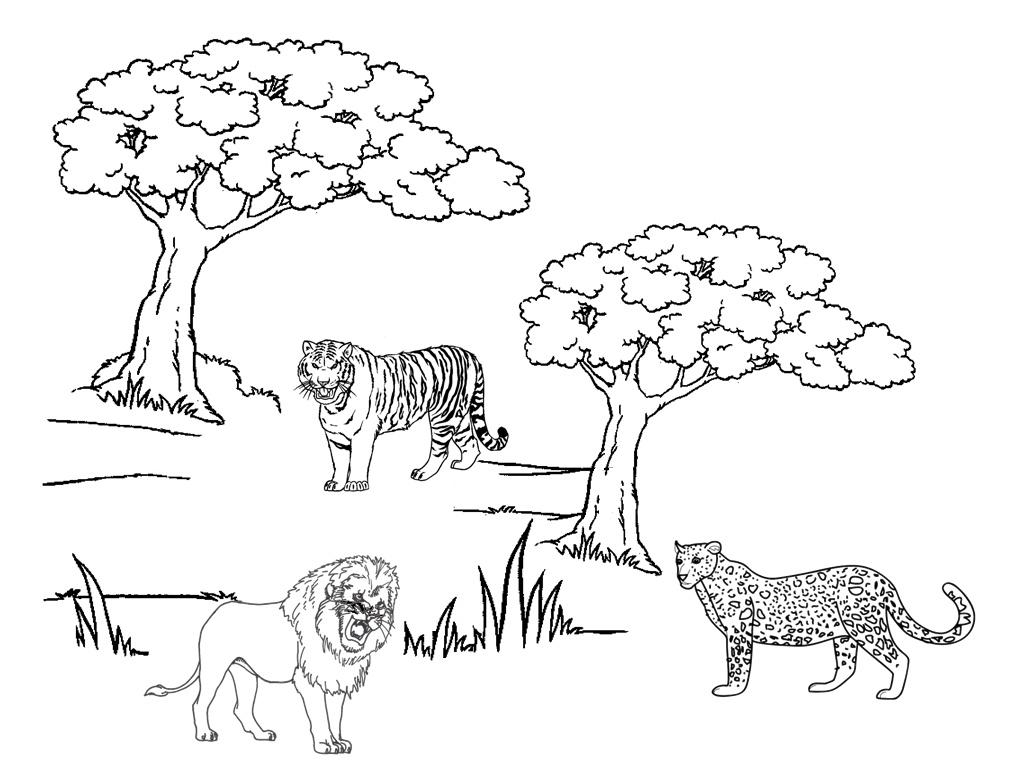 Un guépard en pleine course sur la savane