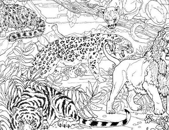 Coloriage Guépard #5956 à imprimer Coloriage Guépard #5956 à imprimer