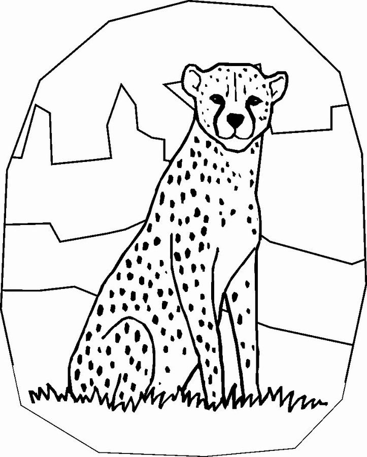Un guépard en pleine course dans la savane