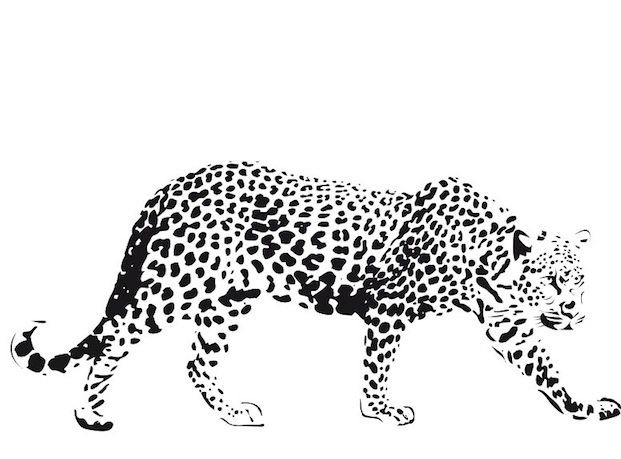 Coloriage d'un guépard en pleine course dans la savane