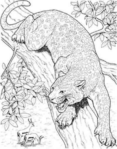 Un guépard en pleine course à travers la savane
