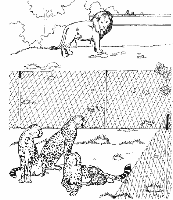 Coloriage d'un guépard en pleine course sur la savane