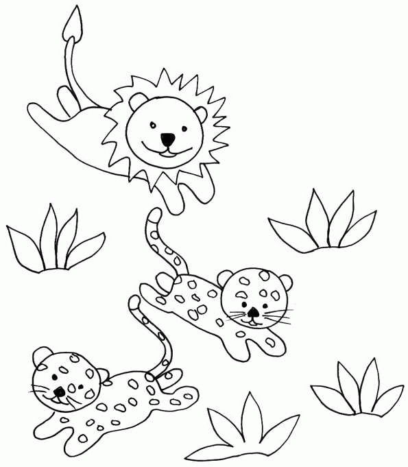 Guepard en pleine course sur un fond naturel