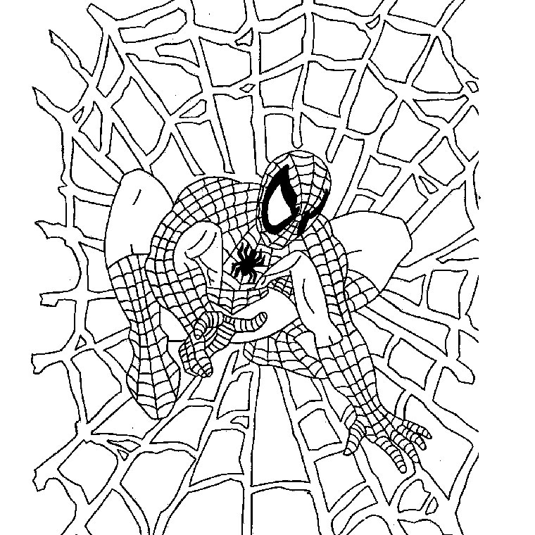 Coloriage d'Halloween avec une sorcière et son chat dans un décor nocturne