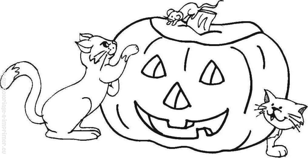 Scène d'Halloween avec des citrouilles et un fantôme joyeux