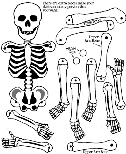 Coloriage d'Halloween avec une sorcière et son chat dans un décor nocturne