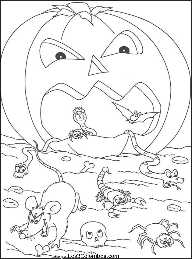 Scène d'Halloween avec un chat noir et une citrouille souriante